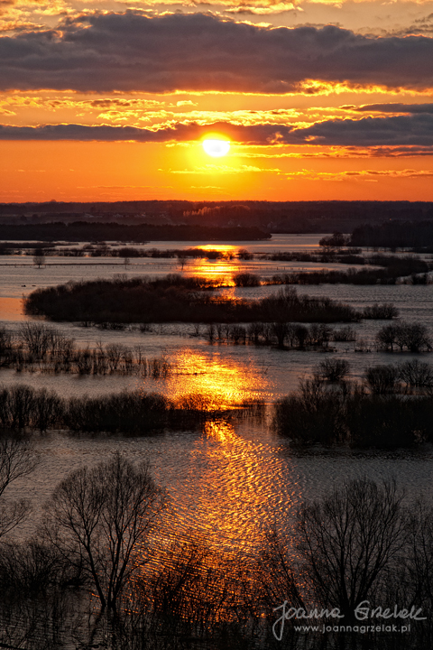 046_Biebrza - kwiecien 2013.jpg